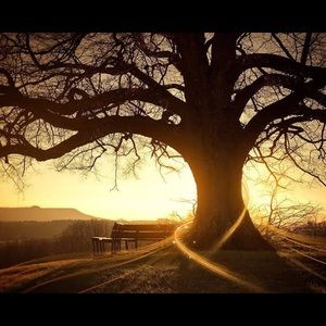 Meet your Posher, Nicki-lee